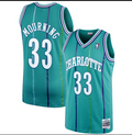 Alonzo Mourning #33 - Charlotte Hornets Jersey